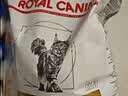 皇家（ROYAL CANIN）泌尿道处方猫粮LP34稀释尿液溶解鸟粪石结石猫全价处方粮3.5KG 实拍图