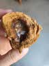 广州酒家核桃包750g 20个早餐半成品早茶点心包子面点食品生鲜速食美食 实拍图