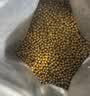 统一 鱼粮锦鲤育成稚鱼500g 金鱼血鹦鹉鱼食鱼粮上浮不浑水鱼粮 实拍图