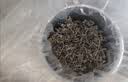 张家界莓茶正宗张家界原生态莓茶高山藤茶特级龙须芽尖 臻养系列60克 实拍图