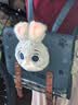 迪士尼（Disney）书包疯狂动物城卡通双肩包小学生背包十岁小女孩生日礼物升学礼 实拍图
