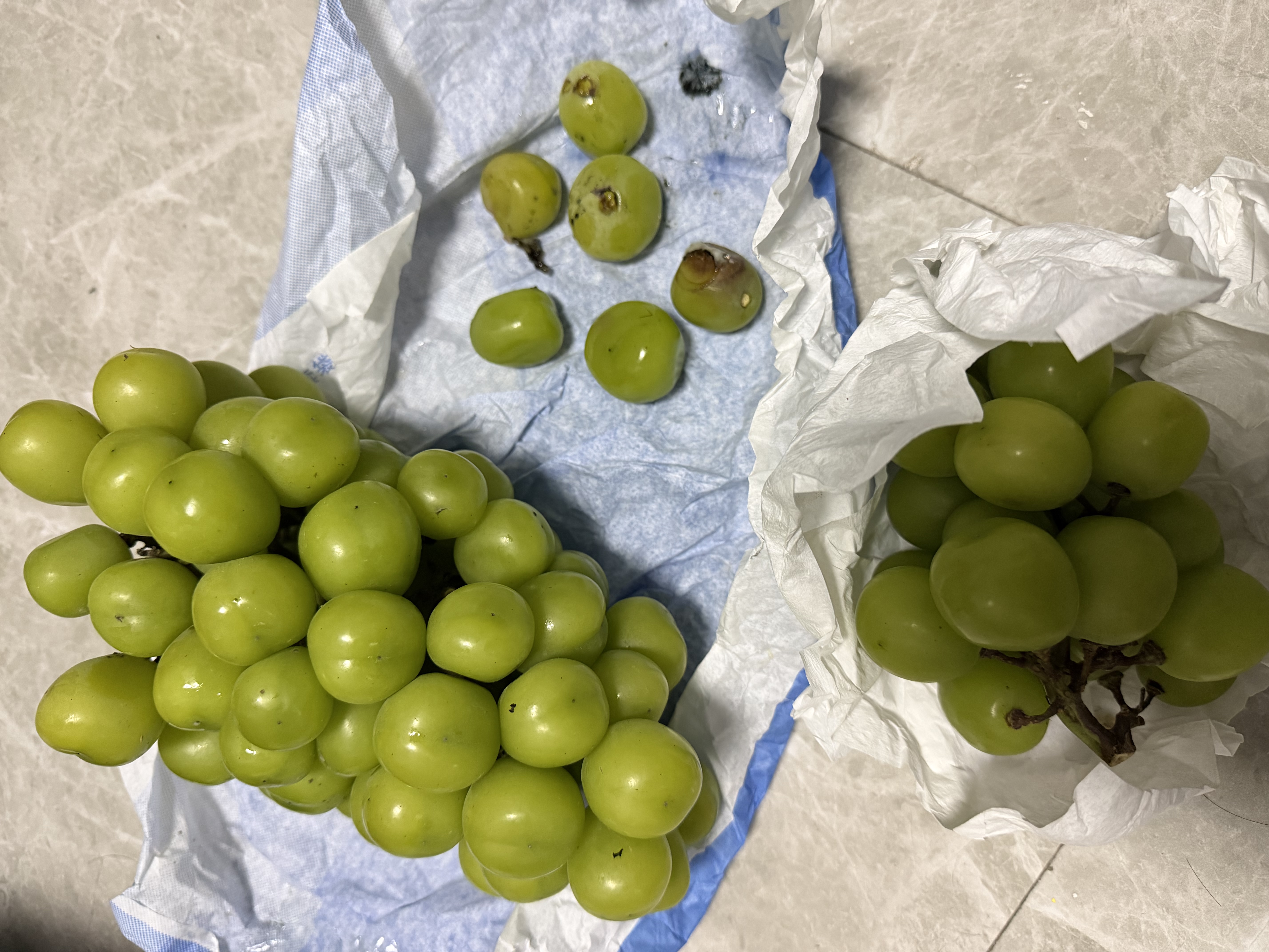京觅陕西阳光玫瑰晴王葡萄 净重3斤 单粒8g+水果香印青提源头直发包邮 实拍图
