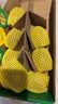 佳沛（zespri）新西兰金奇异果8粒特大果124-146g猕猴桃中秋节礼品送水果礼盒 实拍图