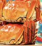 【礼券】阳澄状元大闸蟹礼券9588型公5.0两母4.0两4对8只海鲜螃蟹卡券礼盒礼品卡湖蟹 实拍图