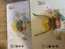 北京稻香村桂月京华760g 9个中秋广式双蛋莲蓉礼品高档月饼礼盒团购送礼特产 实拍图