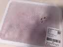 【180天白猪家庭装】冷鲜猪肋排带软骨1kg 中秋送礼家宴宴请 实拍图