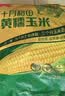 十月稻田 黄糯玉米 8根 3.52斤 真空包装 东北甜粘玉米棒 低脂早餐 实拍图