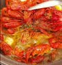 洪湖渔家清水小龙虾（3-5钱净虾2.7kg）3kg送晓飞歌料包 无添加26年新虾 实拍图