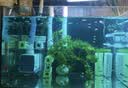 森森（SUNSUN）耀蓝鱼缸水泵小型潜水泵过滤泵抽水泵YQP-1000 15W 实拍图