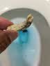 老管家尿碱溶解剂500g厕所马桶清洁剂融通洁厕剂疏通尿垢剂去除异味 实拍图