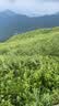 南木熊登山包旅行包户外双肩包男女爬山装备专业轻便背包可折叠徒步旅游 折叠登山包【白灰】 实拍图