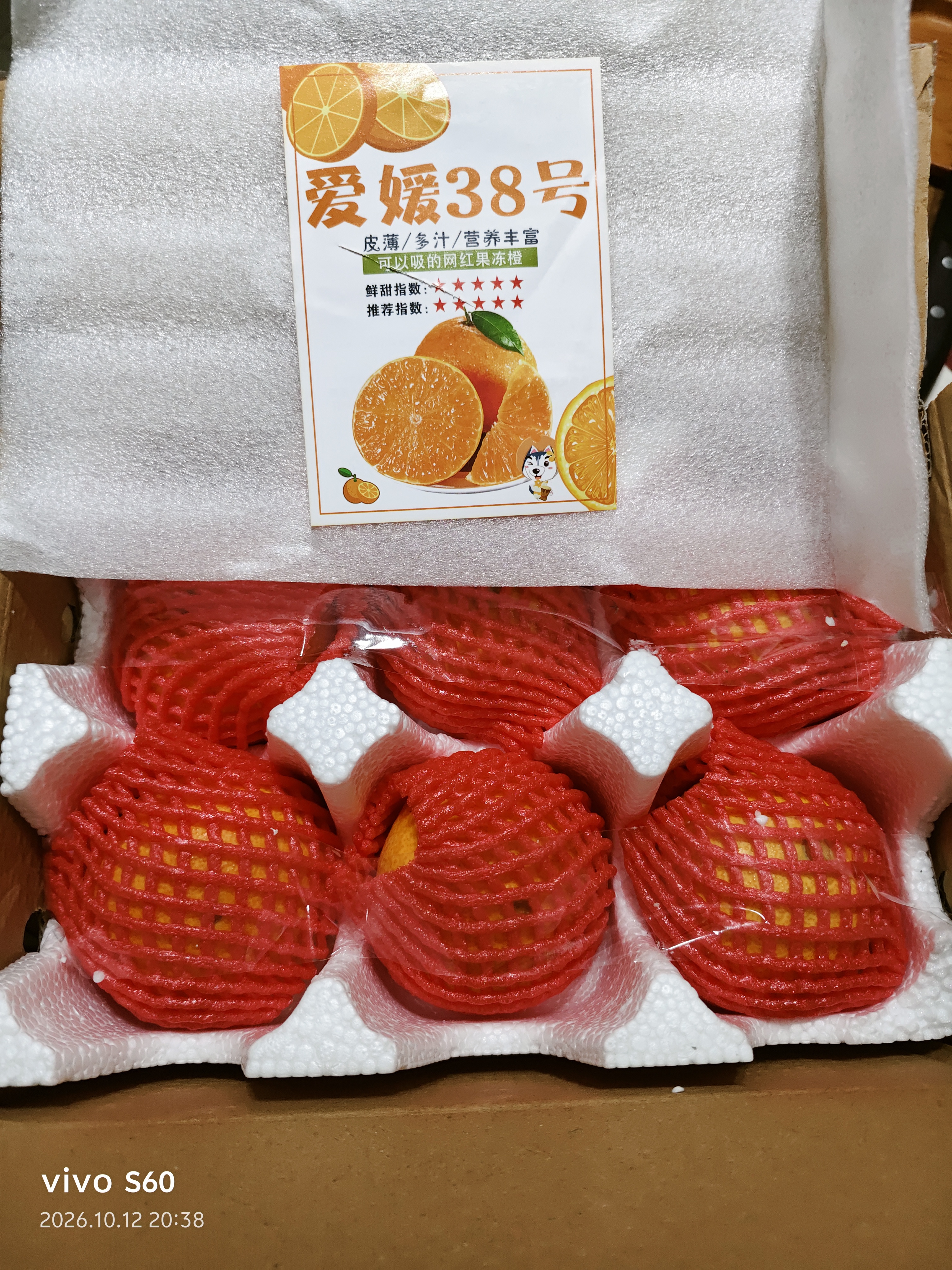 京鲜生 四川爱媛38号果冻橙4.5-5斤大小果混发 源头直发包邮 实拍图