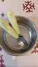 babycare儿童不锈钢叉勺 辅食勺训练勺辅宝宝餐具便携勺子 威力特粉饭盒 实拍图