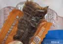 渔大叔 即食母皮皮虾肉带籽虾爬子约4-6只高蛋白高钙休闲零食特产48g 实拍图