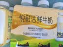 伊利【新鲜日期】纯牛奶苗条装 200ml*24盒 3.2g优质乳蛋白 实拍图