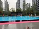 李宁（LI-NING）泳裤男士防尴尬游泳裤平角双层防走光水陆两用沙滩裤337 L 实拍图