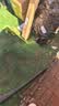 润本儿童洗面奶40ml儿童洁面泡沫0-3-6-12岁女孩男孩洁面乳护肤品 实拍图