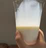 伊利金典纯牛奶 250ml*12盒 3.6g乳蛋白原生高钙礼盒装 实拍图