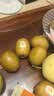 佳沛（zespri）新西兰金奇异果猕猴桃 5粒装 单果约88-103g 水果源头直发 实拍图