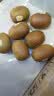 佳沛（zespri）新西兰金奇异果10个装单果重103-114g猕猴桃水果礼盒 实拍图
