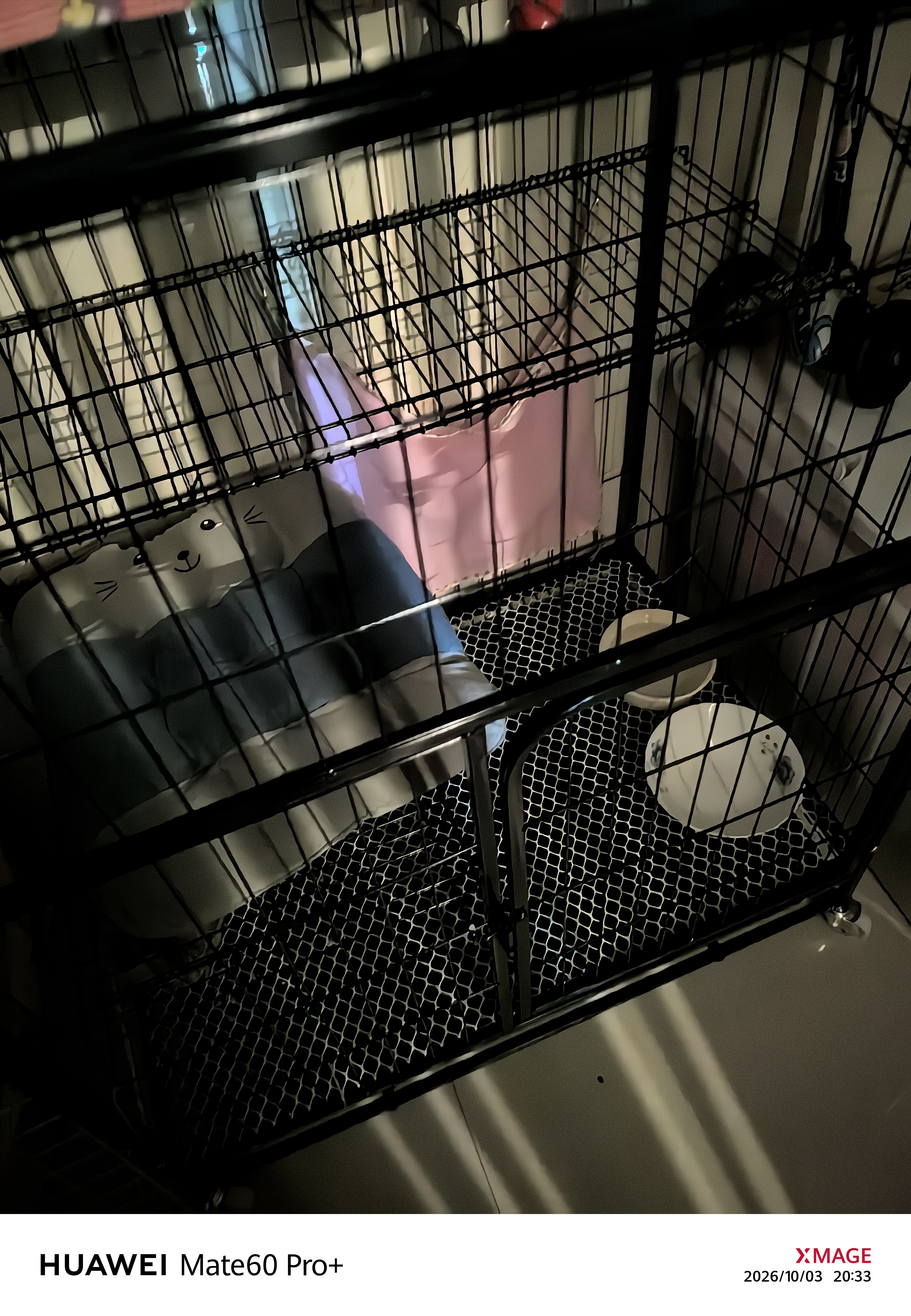腆宠猫笼猫窝猫别墅猫咪笼子大号狗笼子猫笼子带厕所家用室内猫舍猫屋 实拍图
