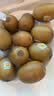 佳沛（zespri）新西兰金奇异果10个装单果重103-114g猕猴桃中秋节礼品送水果礼盒 实拍图