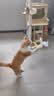 阿柴与猫猫玩具逗猫棒猫咪棒长杆羽毛钓幼小猫玩具鱼竿铃铛猫耐玩耐咬神器 实拍图