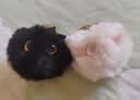 虎实小宝腮红猫猫球公仔可爱毛绒玩偶书包背包小挂件钥匙扣女包包精致挂饰 实拍图