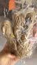 得印麻绳DIY猫用细麻绳捆绑猫爬架制作2mm*10米*5条装绳子麻线装饰5739手工编织手工麻绳3c数码11.11 实拍图