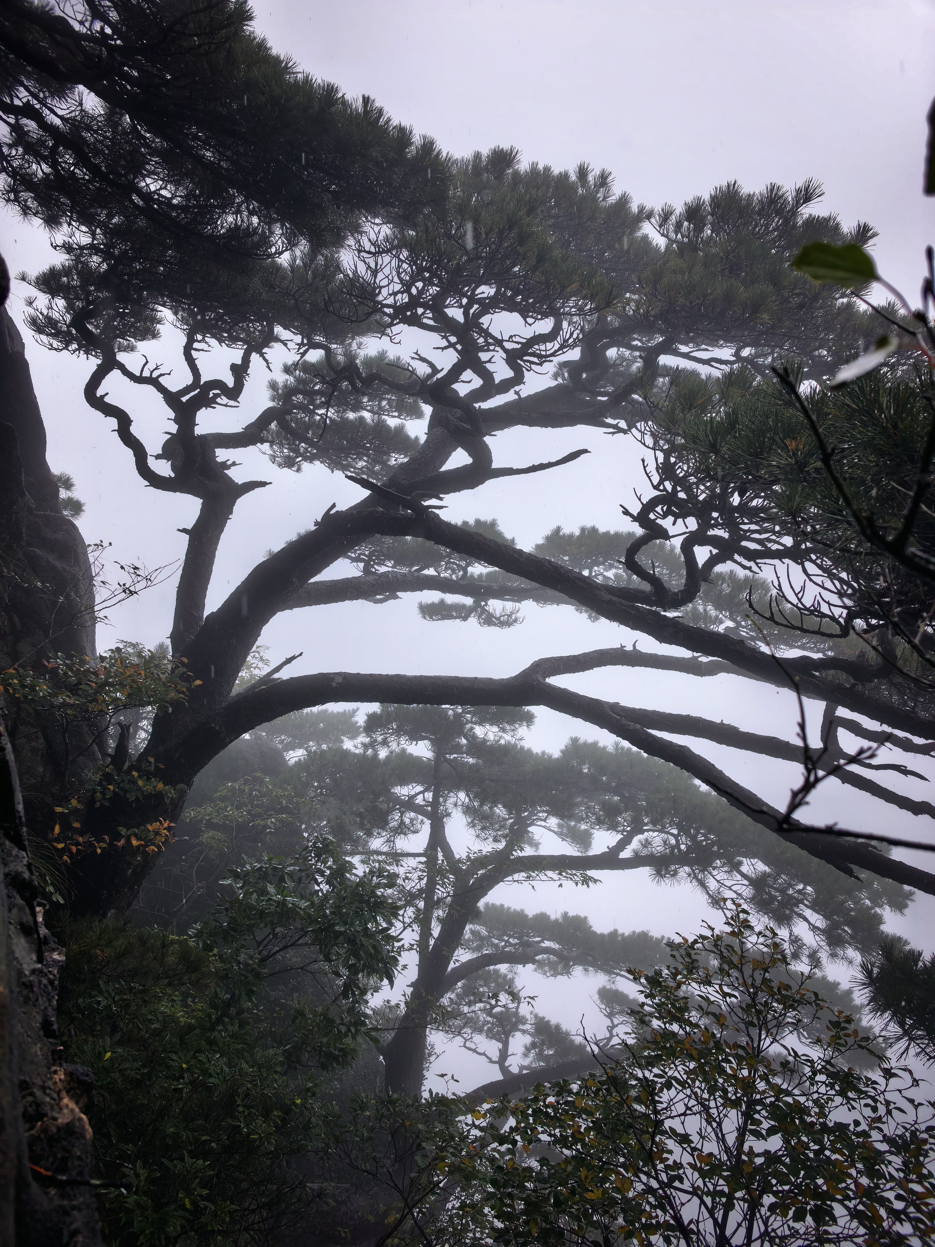 易旅（Etravel）鞋子收纳袋旅行出差衣物袜子内衣整理装鞋套防尘球鞋便携 黑色 实拍图