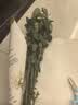 京东鲜花戴安娜单头玫瑰10枝鲜切花送礼生日鲜花送女友手捧花源头直发 实拍图