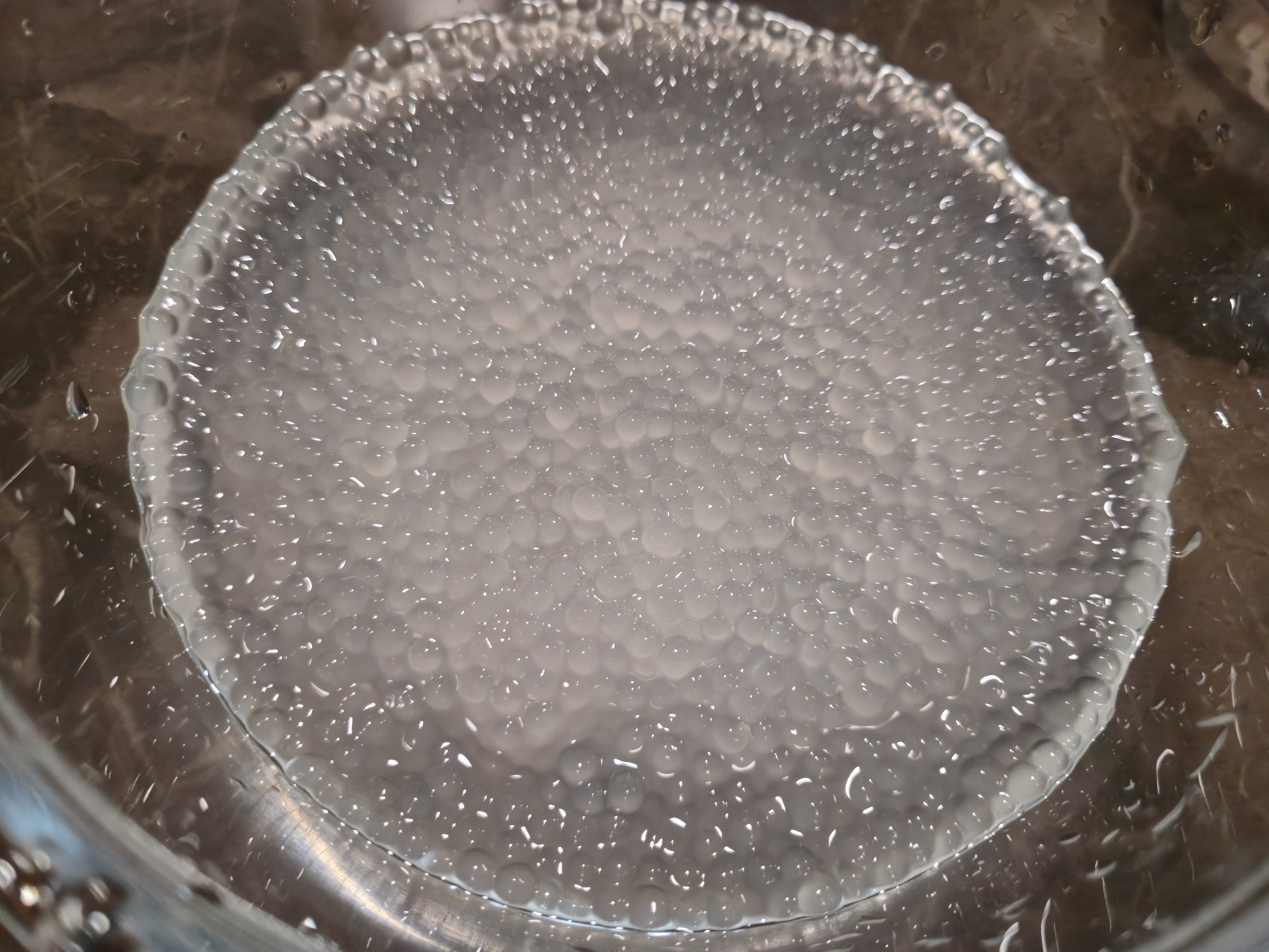 展艺西米300g 杨枝甘露冰奶甜品奶茶配料椰浆西米露水果捞烘焙原料 实拍图