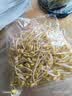 绿豆芽300g 实拍图