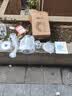 小熊（Bear）便携式烧水壶 可折叠烧水杯旅行出差 316L不锈钢多功能电热水壶0.8L大容量 ZDH-G08R3 实拍图