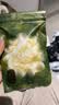 babycare【安全灭菌】山茶花一次性内裤女士孕产妇免洗内裤L码1条 实拍图
