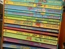 罗尔德达尔16册盒装 Roald Dahl 赠音频 了不起的狐狸爸爸 查理和巧克力工厂等 青少年儿童文学英语图书 进口原版英文小说 实拍图