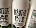 悦鲜活鲜牛奶 定期购 950ml家庭装牛奶原生高钙低温鲜奶  实拍图