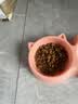 皇家猫粮 英短成猫粮 BS34 通用粮 12月以上 2KG 实拍图