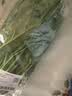 大菠菜300g 实拍图