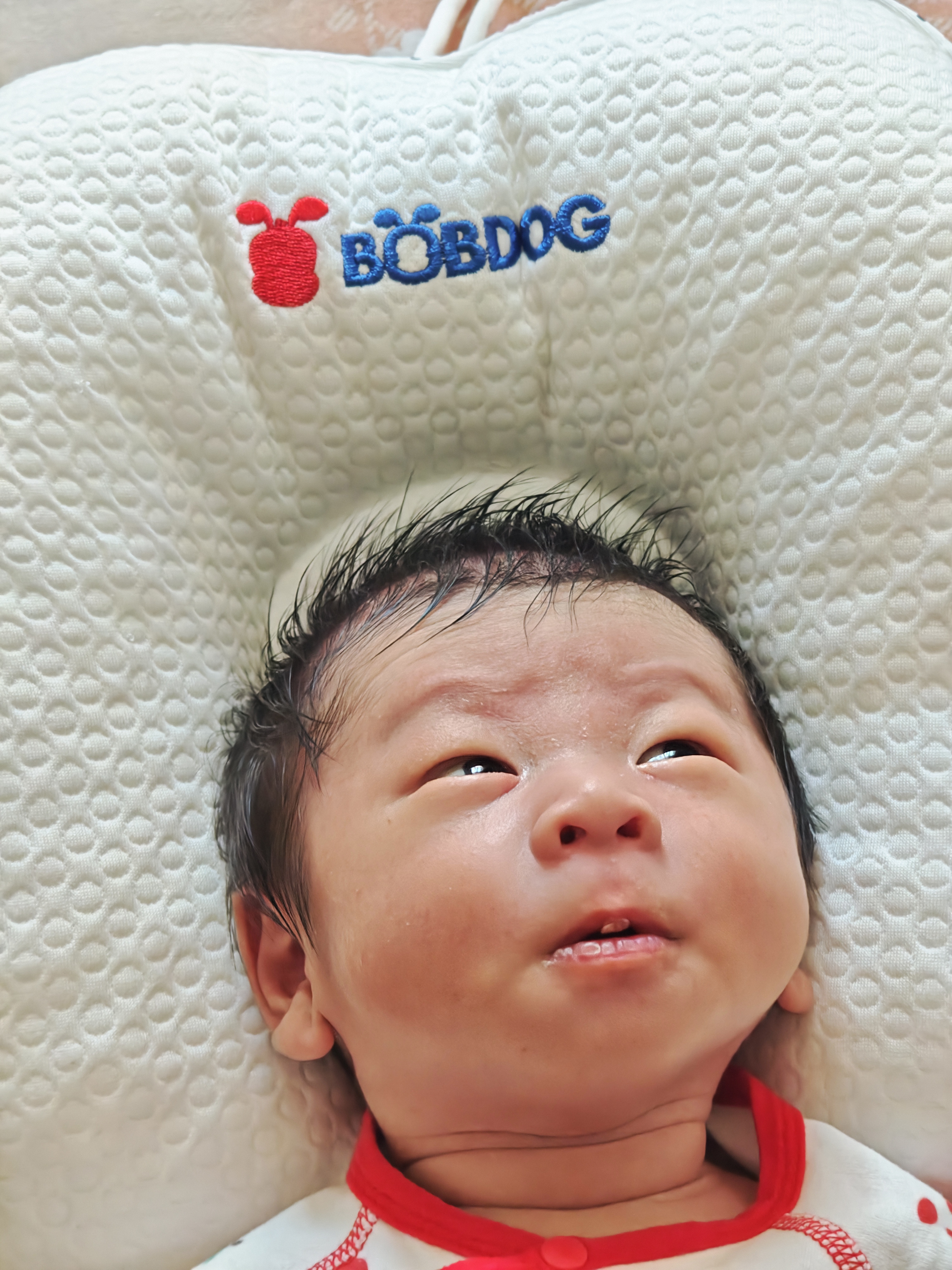 巴布豆（BOBDOG）定型枕头婴儿0到6个月以上新生儿头型儿童宝宝枕头防偏头猫爪枕粉 实拍图