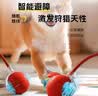 HELLOJOY狗狗玩具耐咬球自动逗狗神器自嗨解闷宠物电动小狗智能弹力遛狗球 实拍图