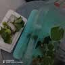 疯狂水草鱼缸浮萍水草鱼缸水培植物绿植水培养鱼水草经典套餐源头直发包邮 实拍图