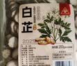 川珍白芷200g【四川产地】圆片白芷片香辛调味料煲汤源头直发一件包邮 实拍图