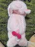 名创优品（MINISO）福莉丝猪小猪玩偶高级小众生日礼物送女友陪睡布娃娃抱枕公仔玩具 实拍图