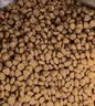 奥丁（ODIN） ODIN 猫粮 幼猫猫粮成猫美短全价天然鱼肉味猫粮10kg20斤 实拍图