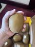 佳沛（zespri）新西兰金奇异果8粒特大果124-146g猕猴桃中秋节礼品送水果礼盒 实拍图