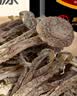 维多宝东北山珍野生榛蘑125克 特产干货小鸡炖蘑菇食材山珍南北干货团购 实拍图