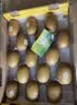 佳沛（zespri）新西兰 金奇异果特大果15粒134-146g猕猴桃中秋节礼品送水果礼盒 实拍图
