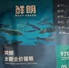 鲜朗低温烘焙猫粮无谷全阶段通用型鲜郎营养高蛋白鸡肉全价猫粮囤货装 烘焙猫粮2kg【单包装】 实拍图