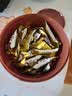 德芙丝滑牛奶巧克力 桶装480g 休闲零食 节日礼物 送女友礼物 实拍图